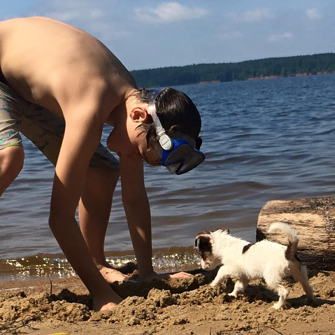 copyright alywillow - oliver and coconut