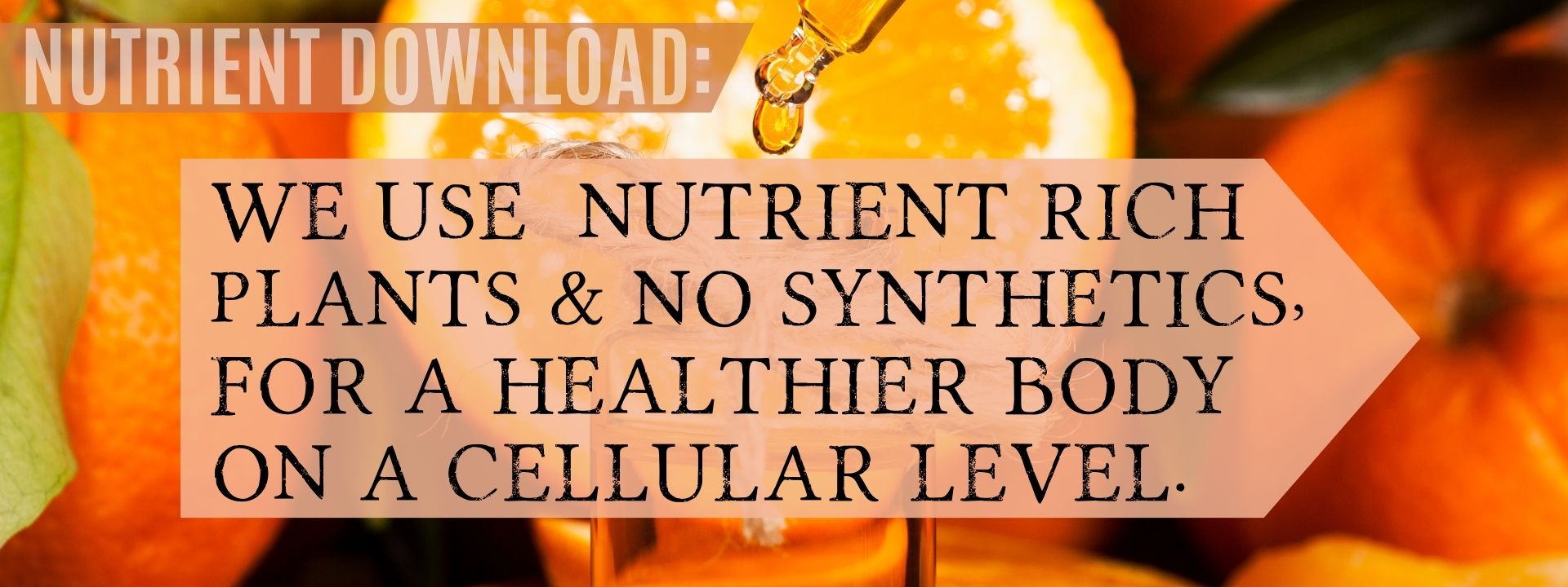 Nutrient Download: We use nutrient rich plants and no synthetics for a healthier body on a cellular level. 