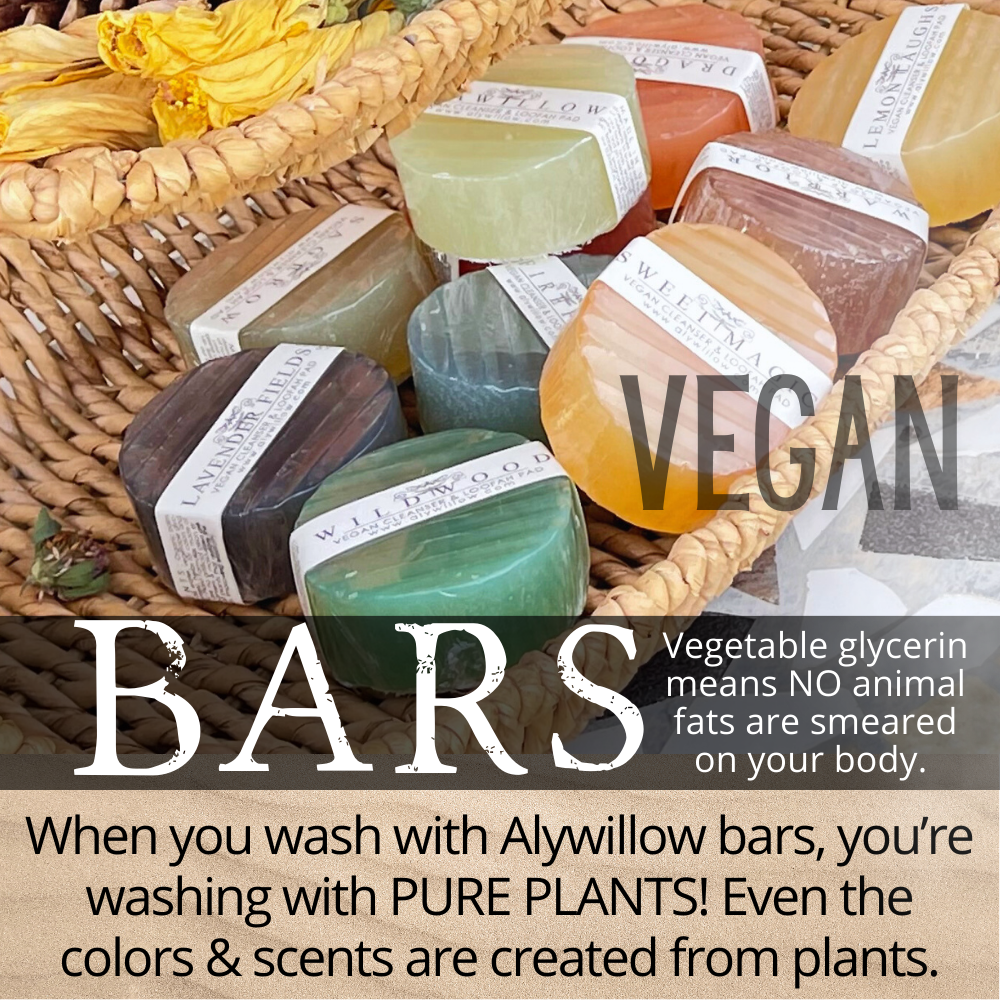 Bar Cleansers - Set of 10