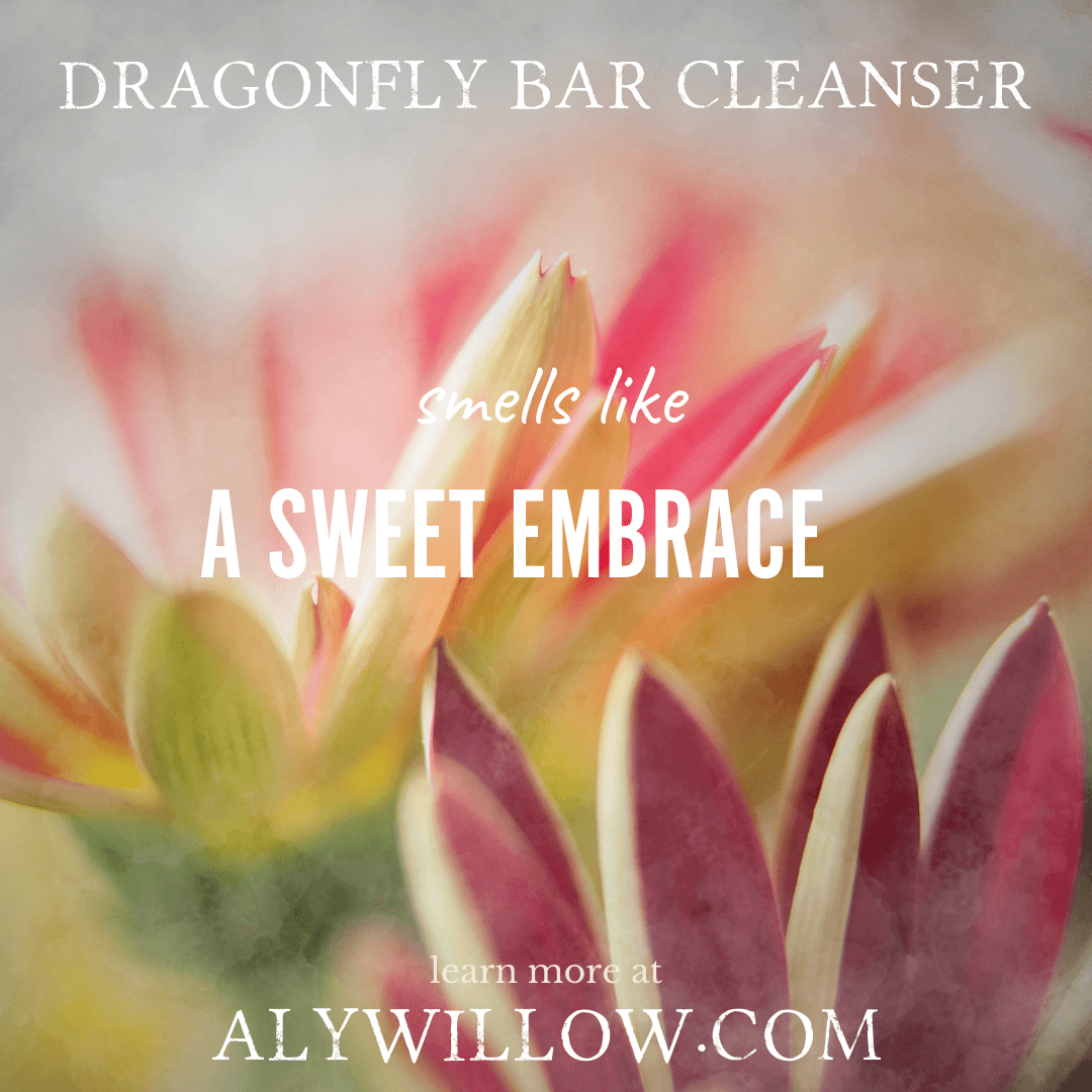 Close-up of vibrant flowers, representing the sweet embrace scent of Dragonfly Bar Cleanser.
