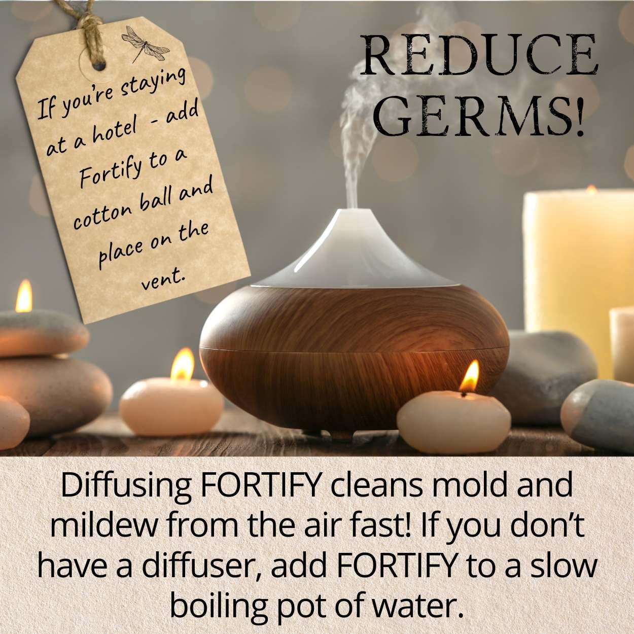 FORTIFY PLANT SERUM - Alywillow