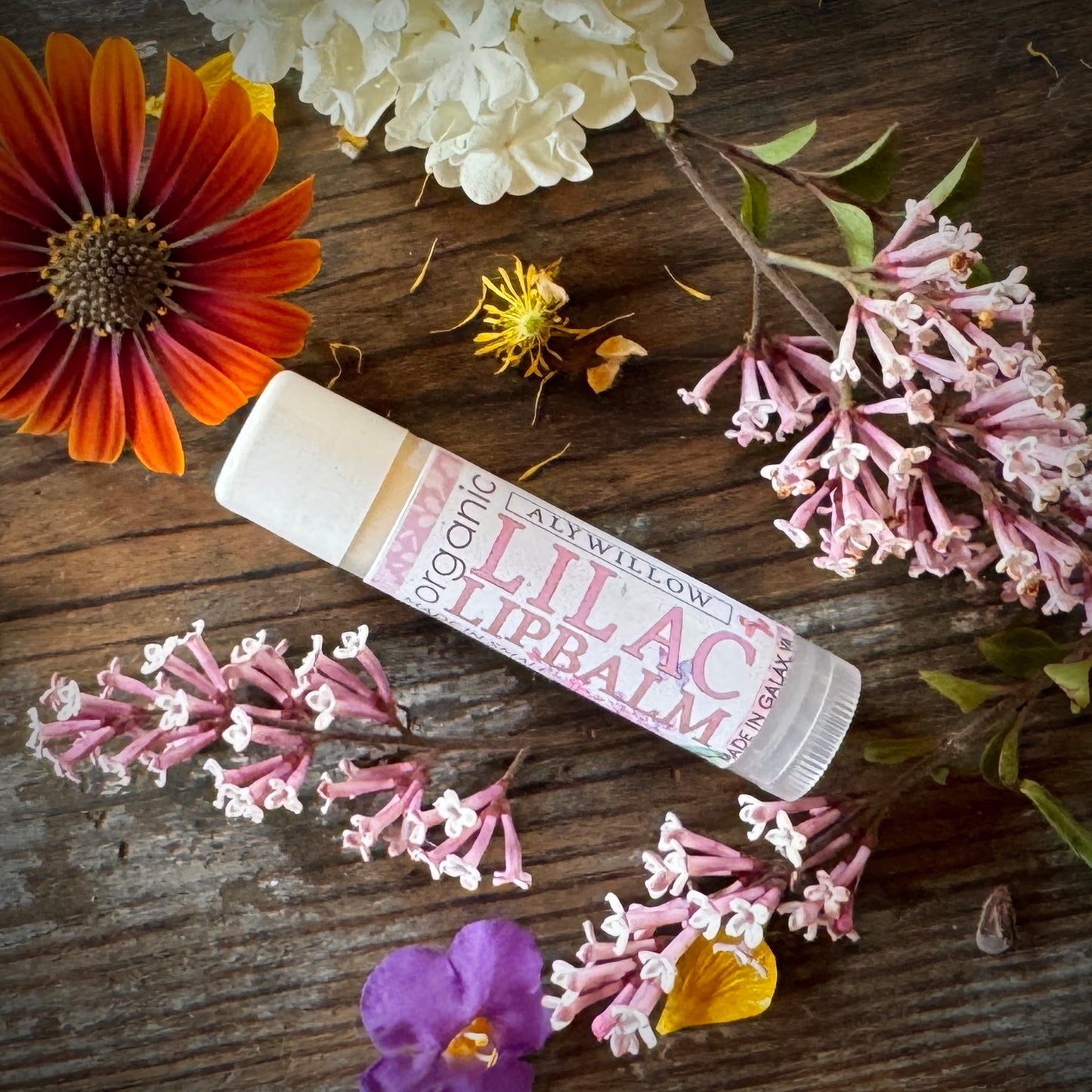 Lip Balm