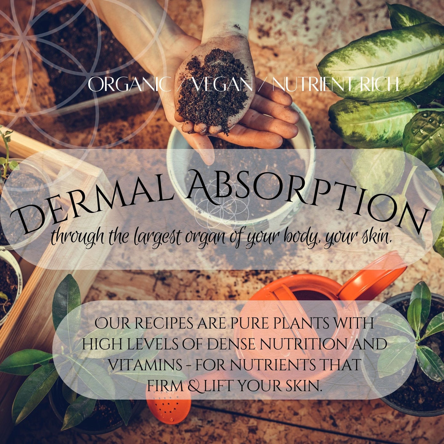 Hand holding soil with text about organic vegan skincare products and dermal absorption.