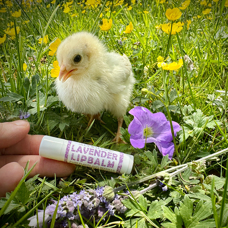 Lip Balm