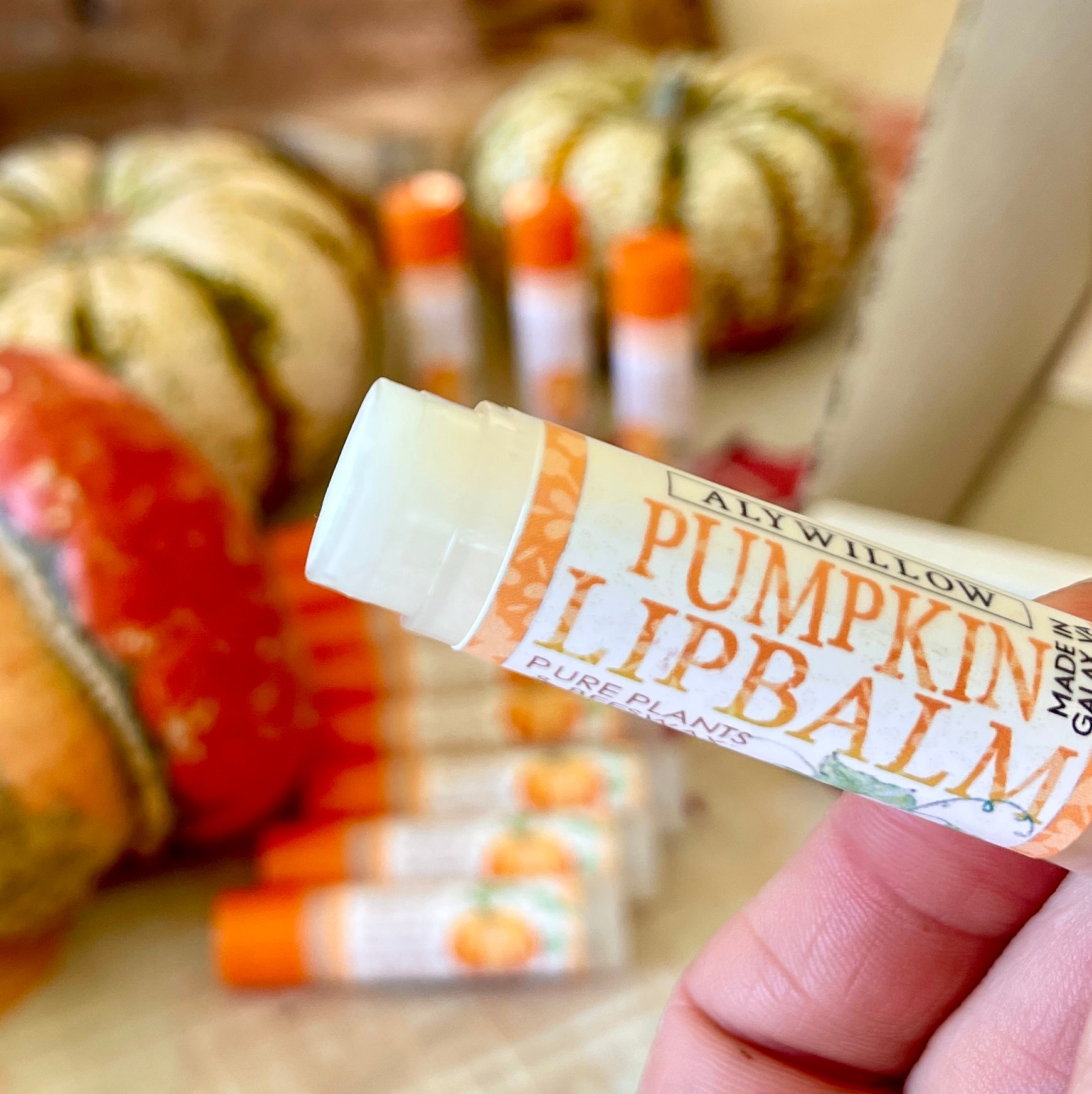 Pumpkin Lip Balm - Alywillow