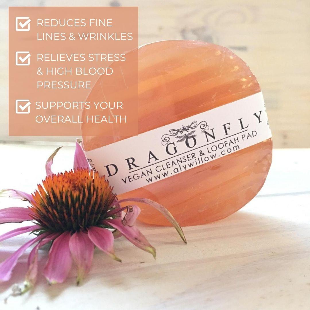 DRAGONFLY Nutrient Bar Cleanser - Alywillow