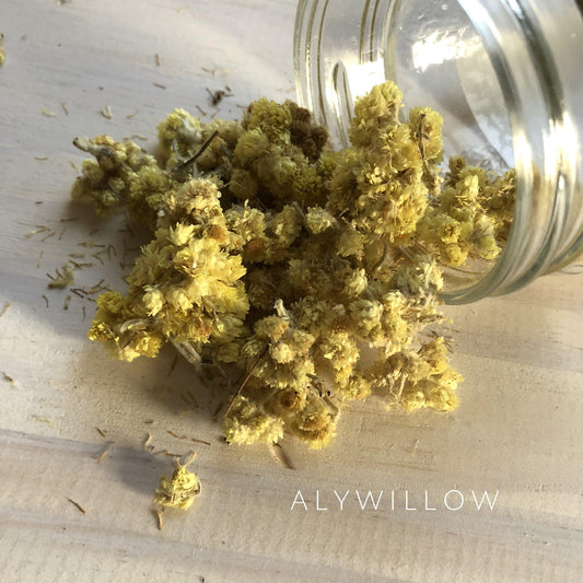 Helichrysum Flower Dried Herb - Alywillow
