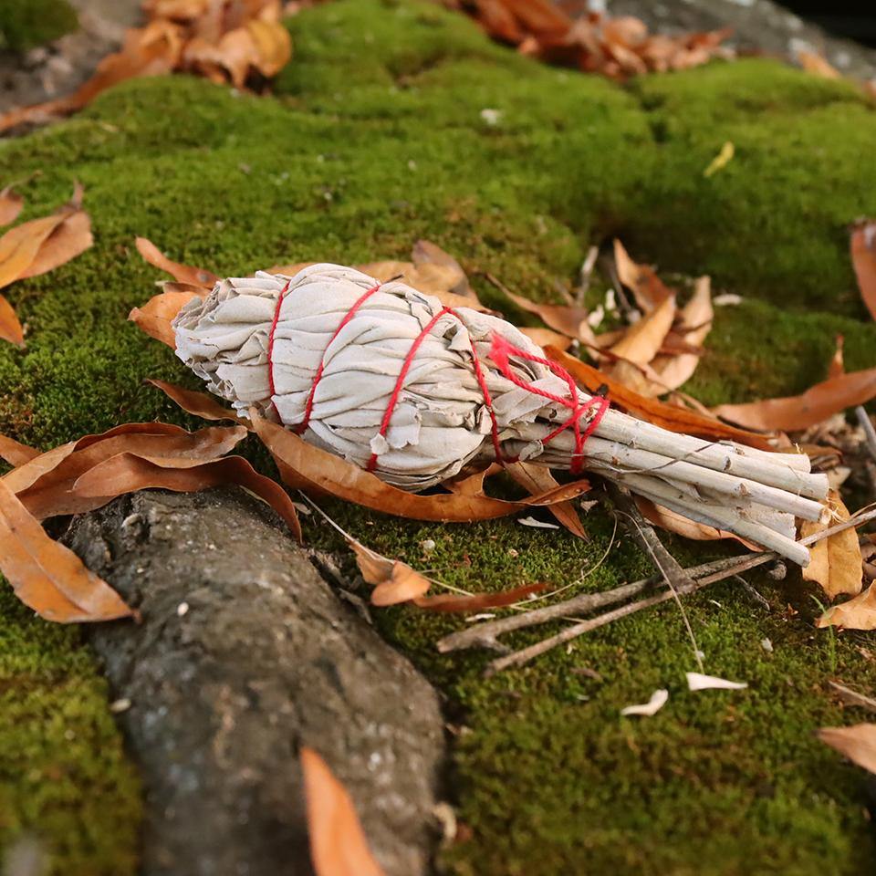 WHITE SAGE Small Torch Stick - Alywillow