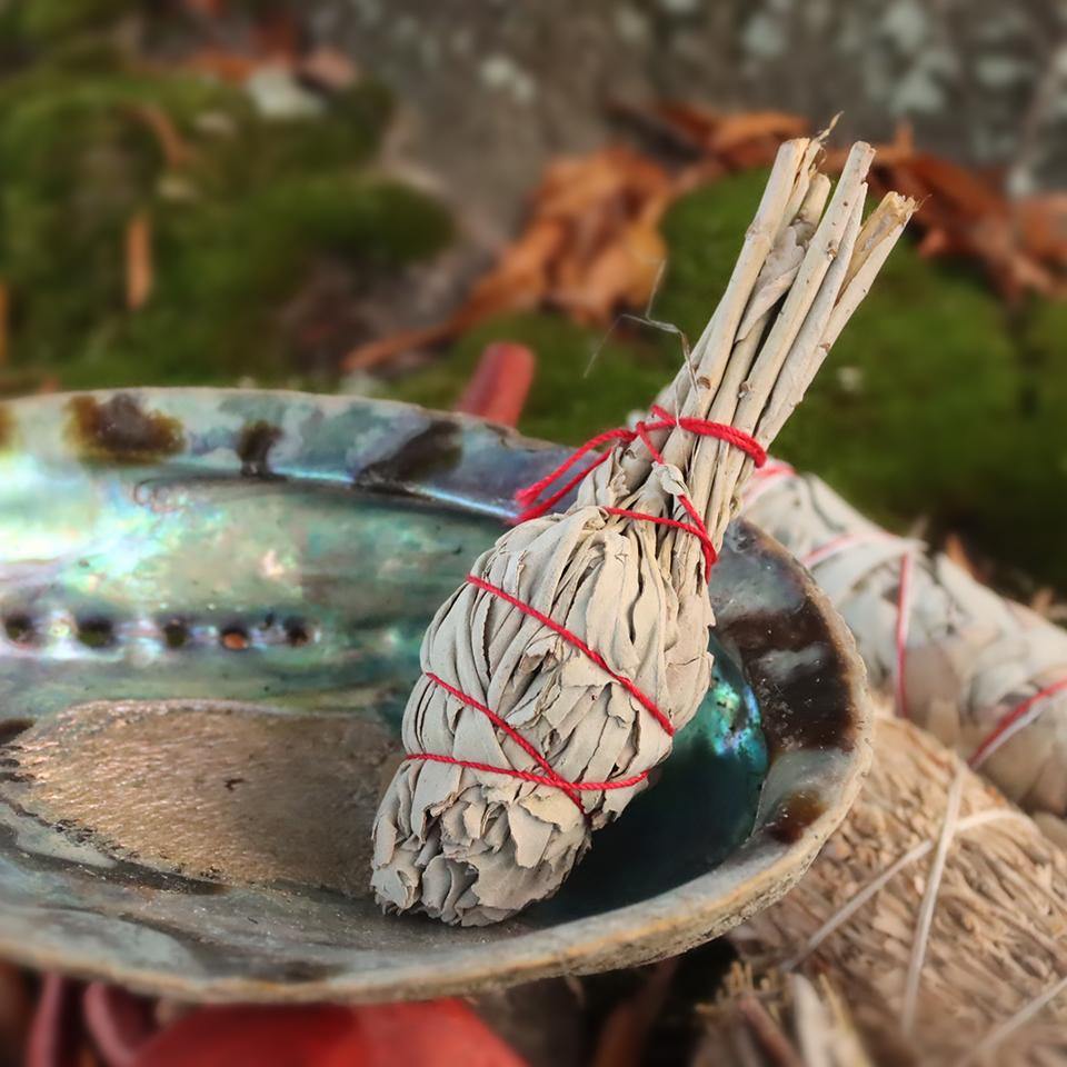 WHITE SAGE Small Torch Stick - Alywillow