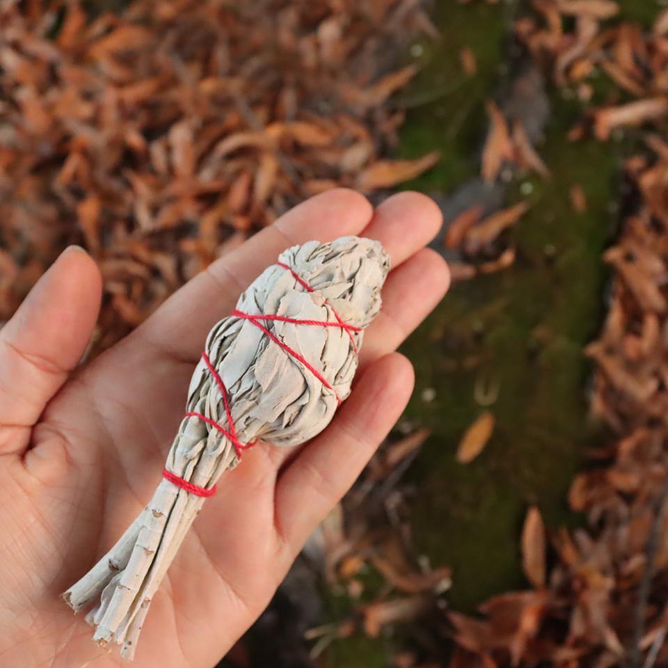 WHITE SAGE Small Torch Stick - Alywillow