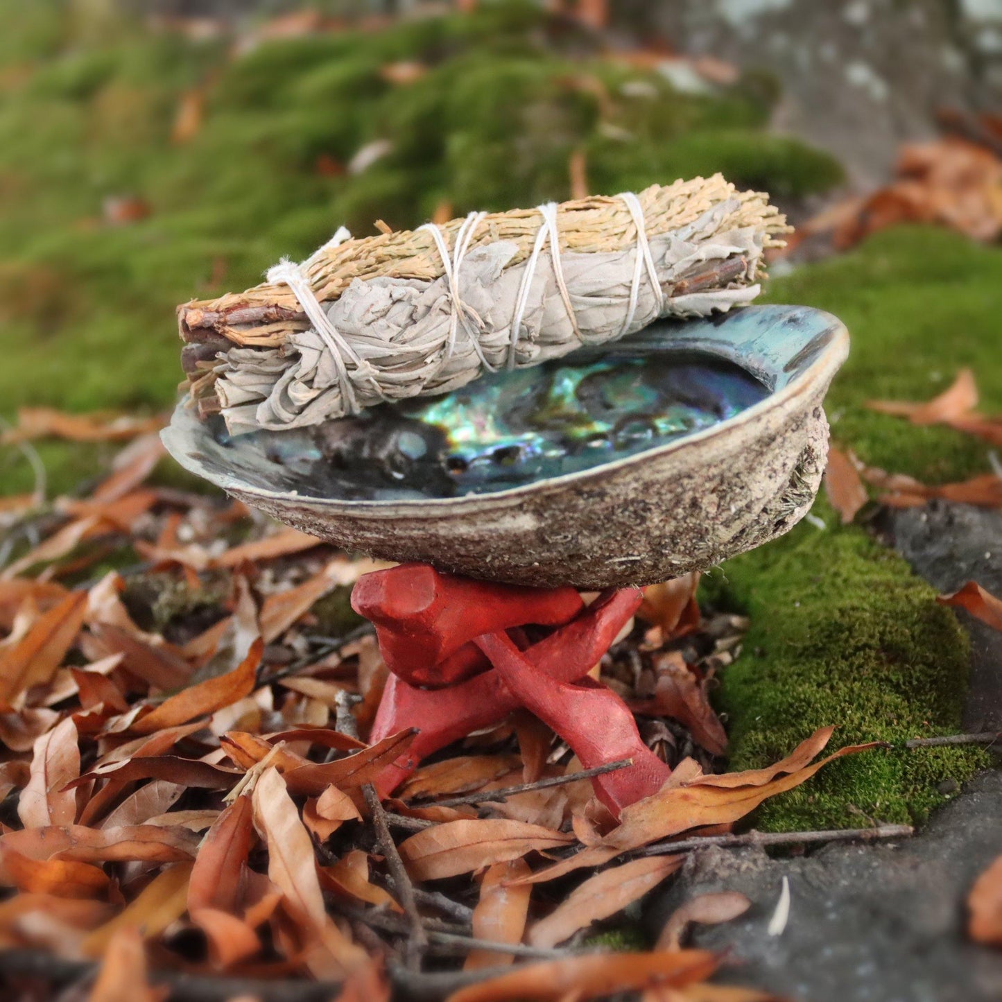 Sacred ABALONE SHELL - Alywillow