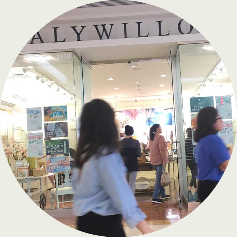 Talk with Us - Consultation - Alywillow