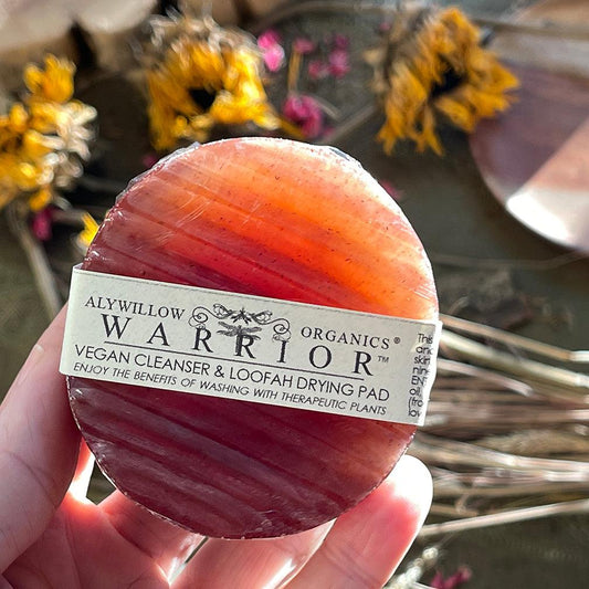 WARRIOR Nutrient Bar Cleanser - Alywillow