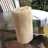 Body Loofah - Alywillow