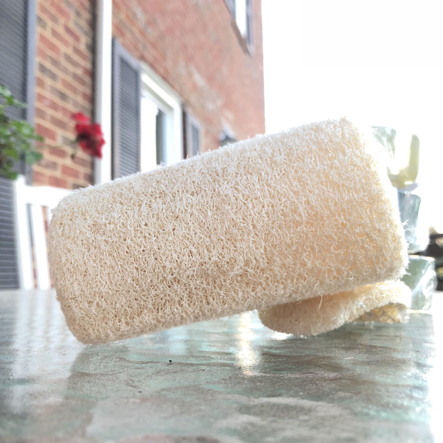 Body Loofah - Alywillow