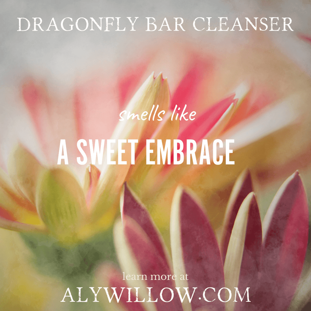 Close-up of vibrant flowers, representing the sweet embrace scent of Dragonfly Bar Cleanser.