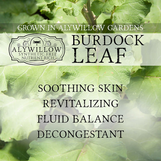 Burdock leaf with Alywillow Gardens branding and product benefits text.