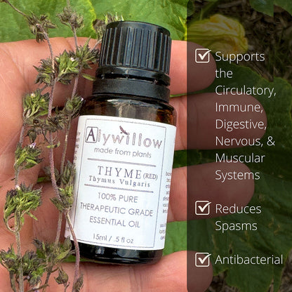 Thyme (Red) Essential Oil