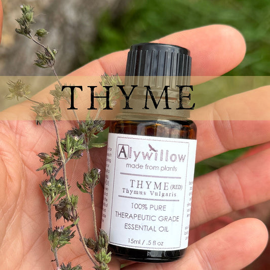 Thyme (Red) Essential Oil