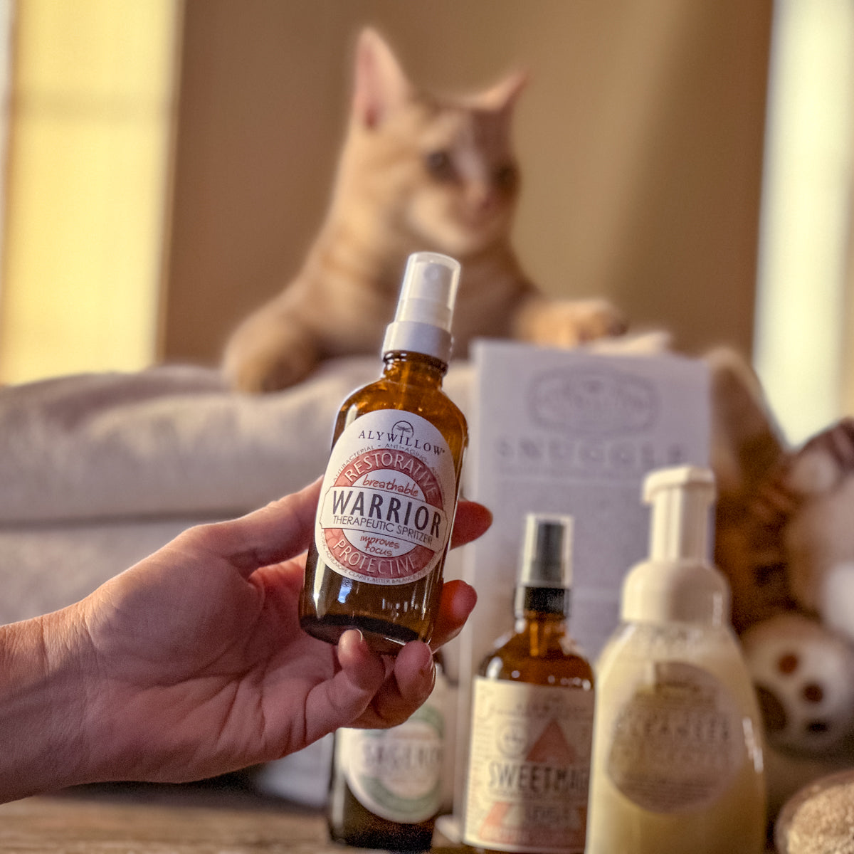 Person holding a bottle of 'Warrior Spritzer' with a cat in the background