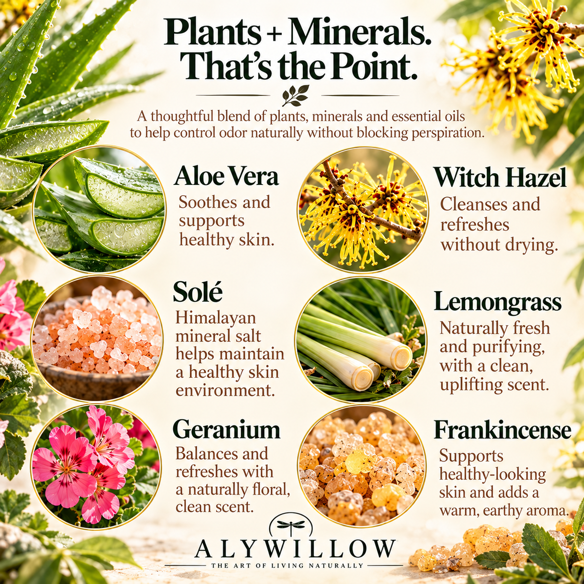 plants, minerals, and essential oils