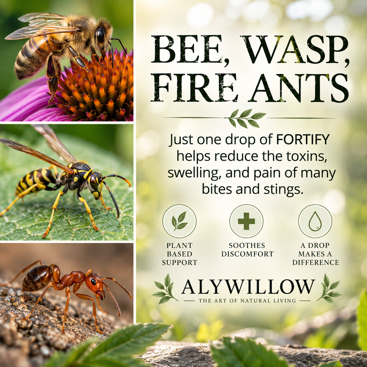 bee, wash, and fire ant pain stings