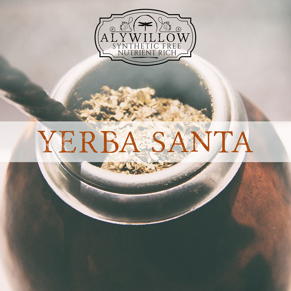 Yerba Santa in a pot with Alywillow logo and text