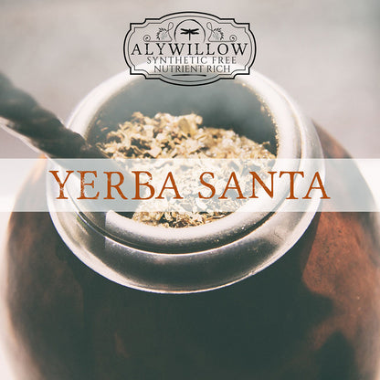Yerba Santa in a pot with Alywillow logo and text