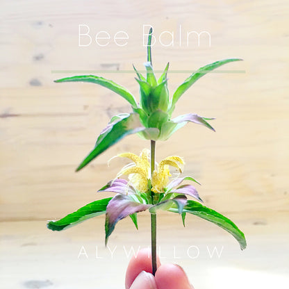 Bee Balm Leaf & Flower Dried Herb - Alywillow