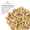 Astragalus Root Dried Herb - Alywillow