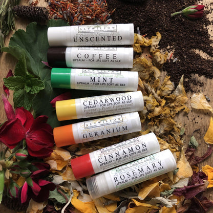 ZCase - Lip Balm - Alywillow
