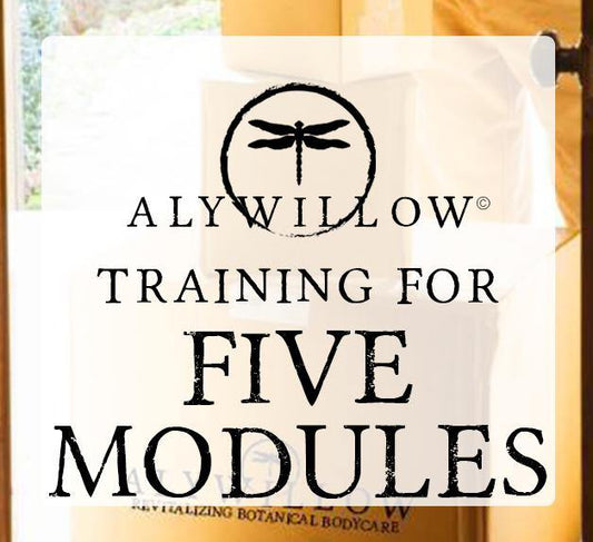 Wholesale Training - All FIVE Modules - Alywillow